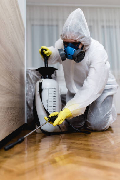 Professional Pest control in Timberlane, LA